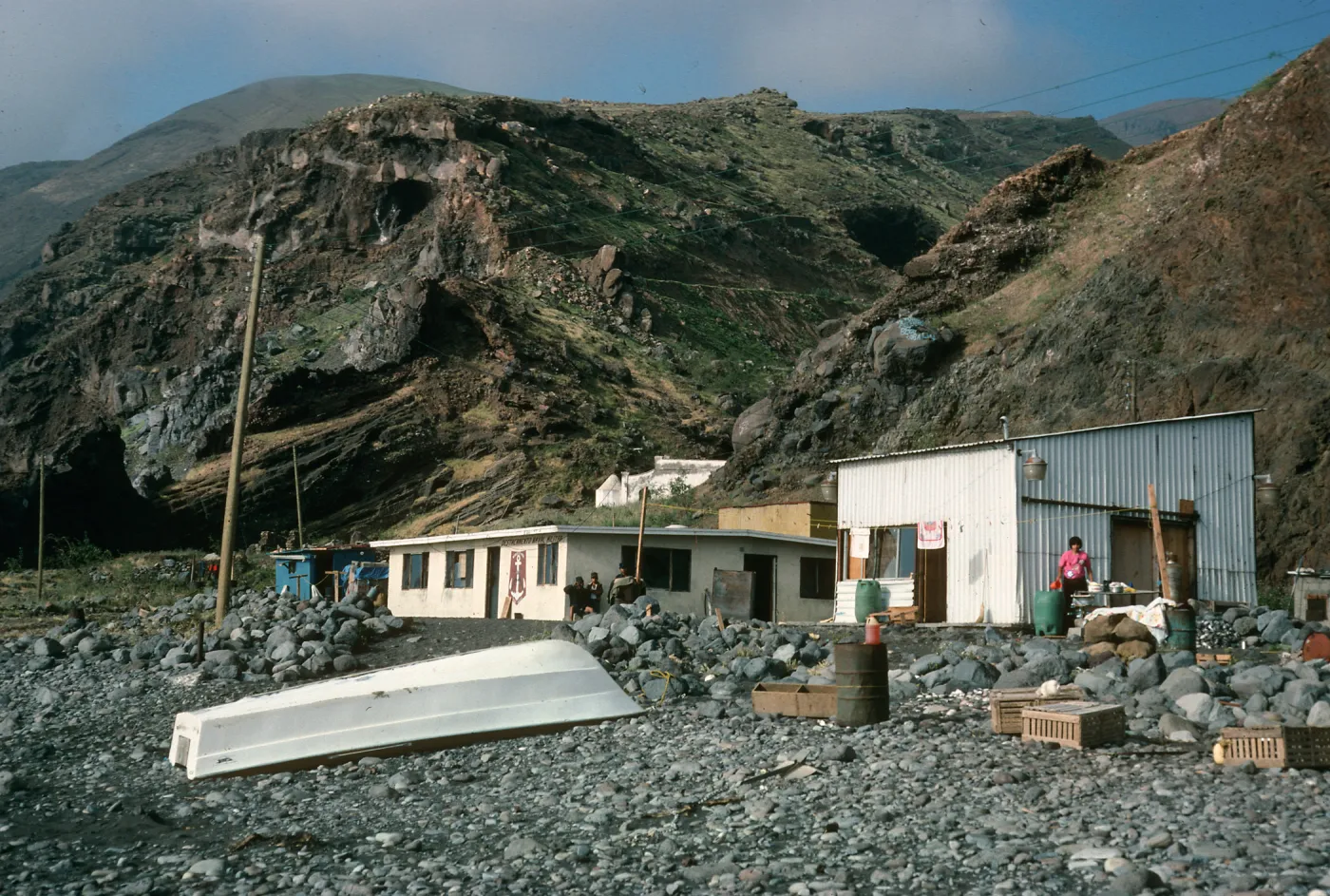Guadalupe Island, Northeast Anchorage