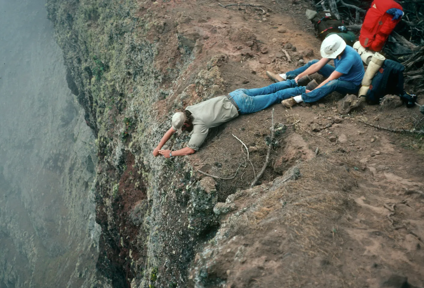 Guadalupe Island, lassoing plants, West of pines at North end of island, Steve Timbrook held by Peter Schuyler