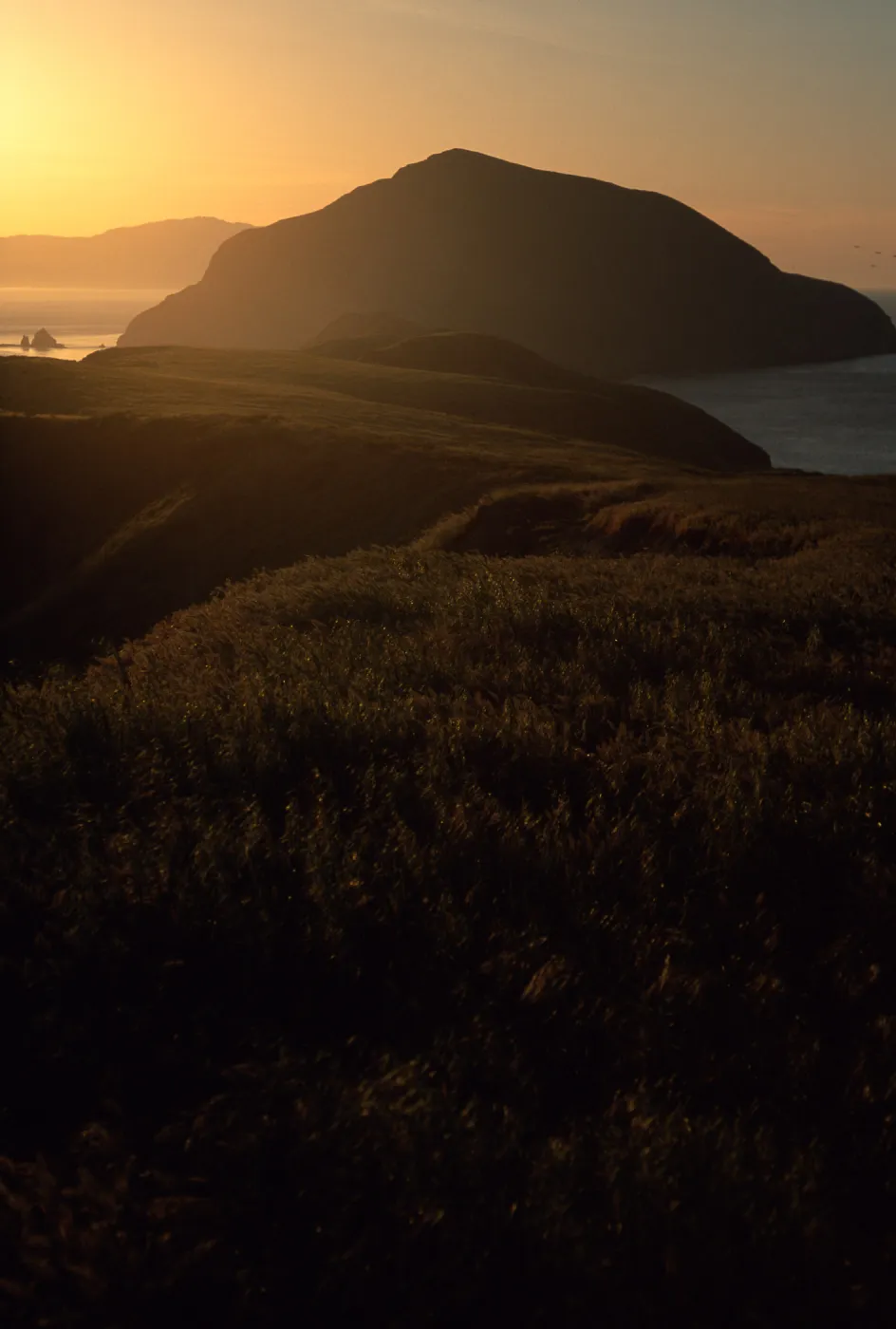 Middle Anacapa Island, looking west