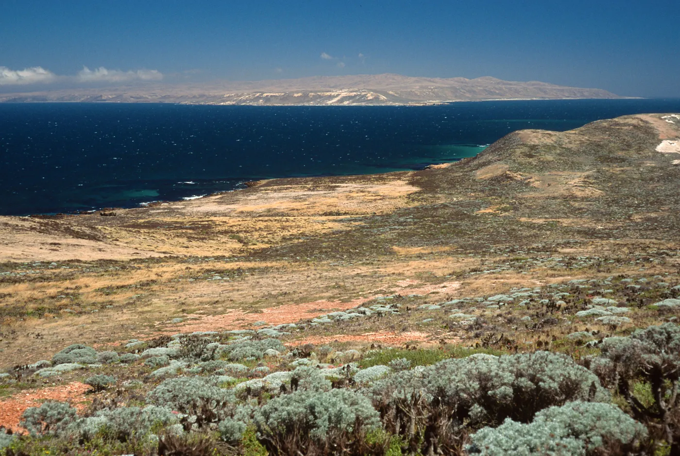 Coastal flats east of Hoffmann Point, San Miguel Island
