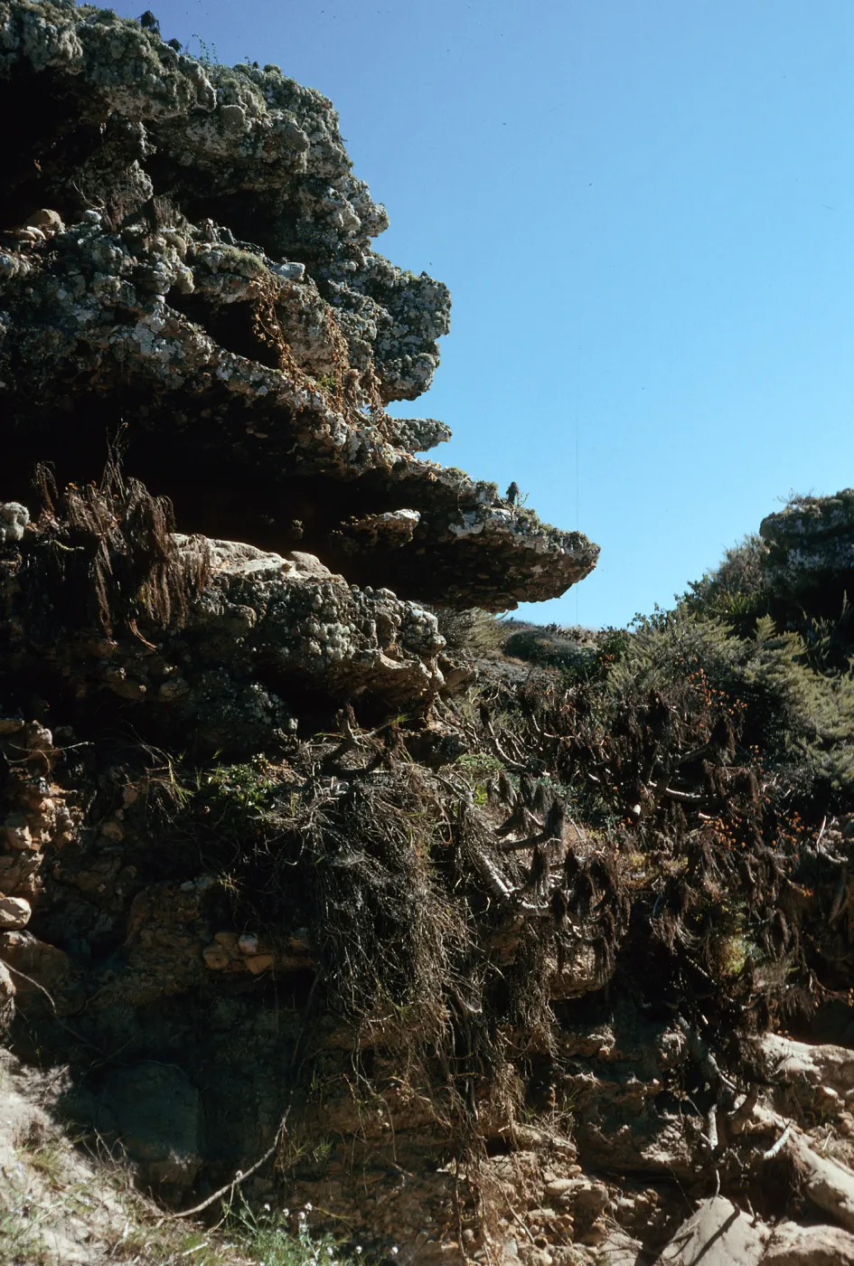 Rock Walls, Lower Willow Canyon, San Miguel Island