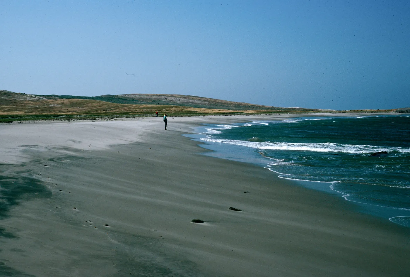 Beach, North of Δ oar, East end, Santa Rosa Island