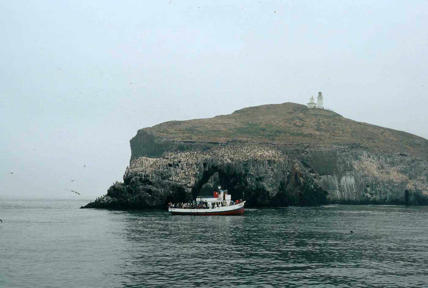 East end, East Anacapa Island