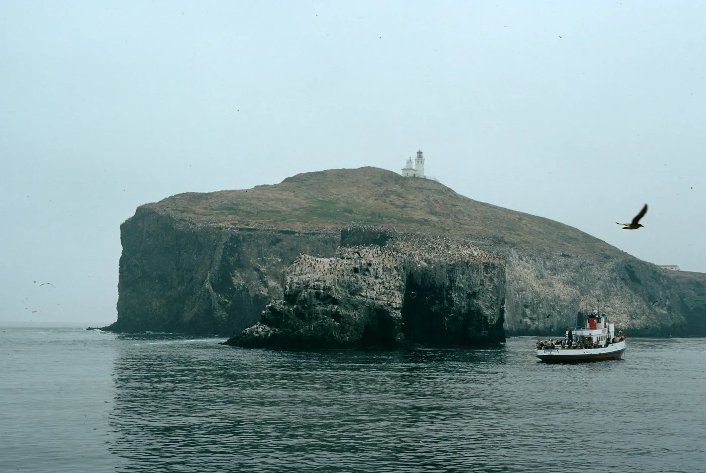 East end, East Anacapa Island