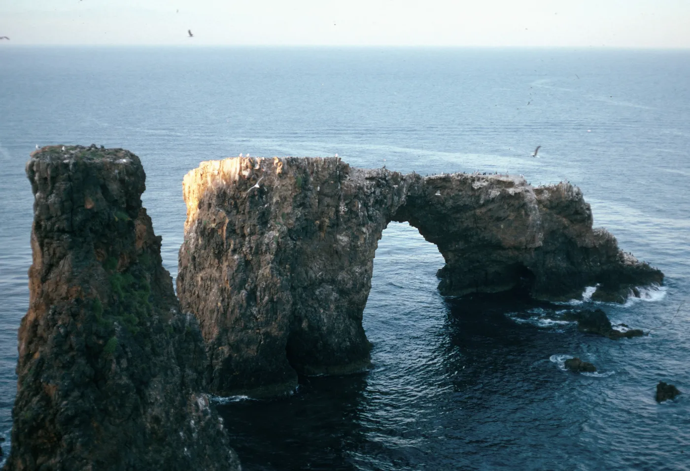 Arch Roack from slope Northeast of lighthouse, East Anacapa Island