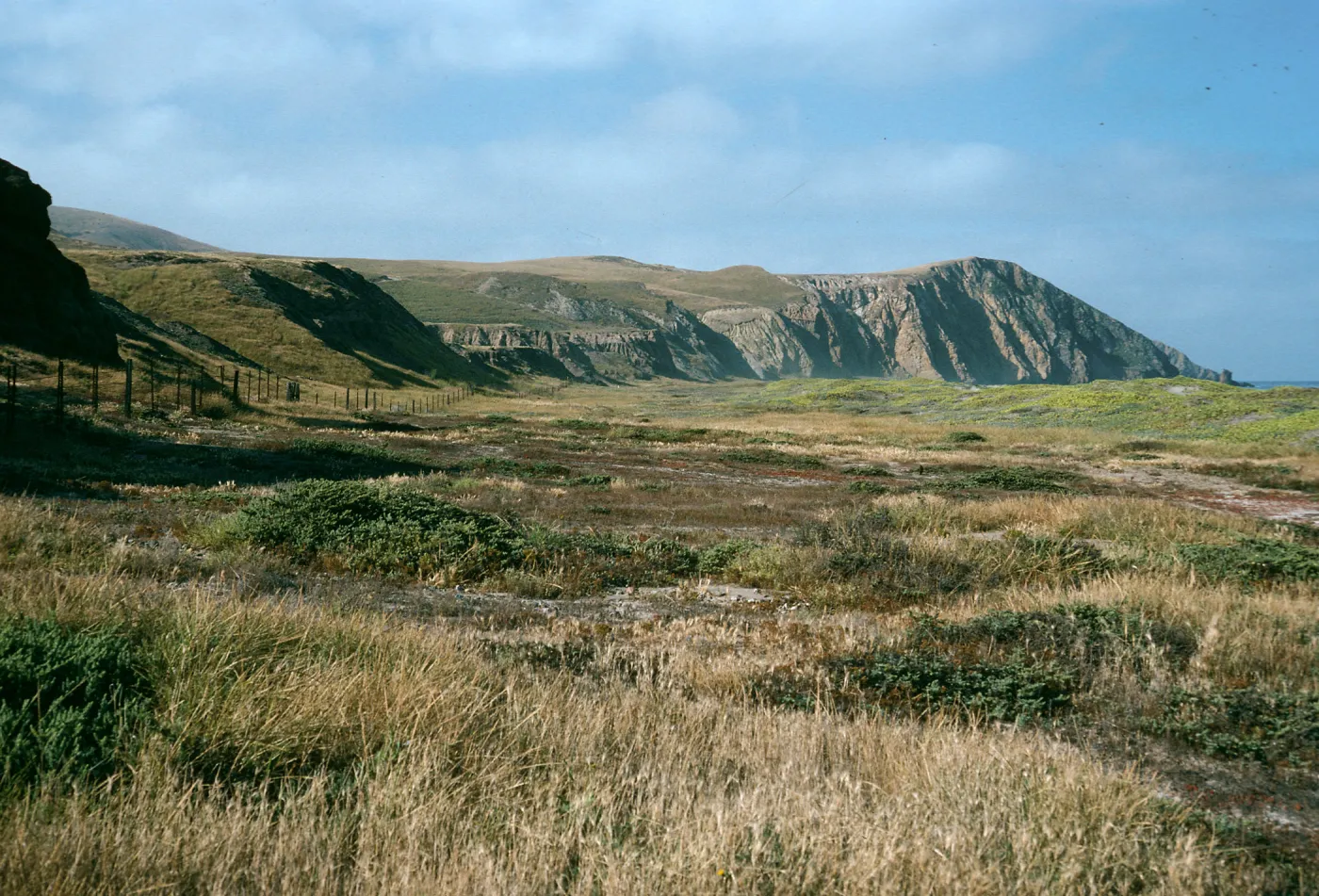 Christy Beach, Santa Cruz Island
