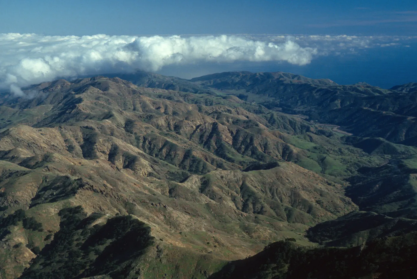 North Ridge and Central Valley, just east of Pichacho Diablo, Santa Cruz Island
