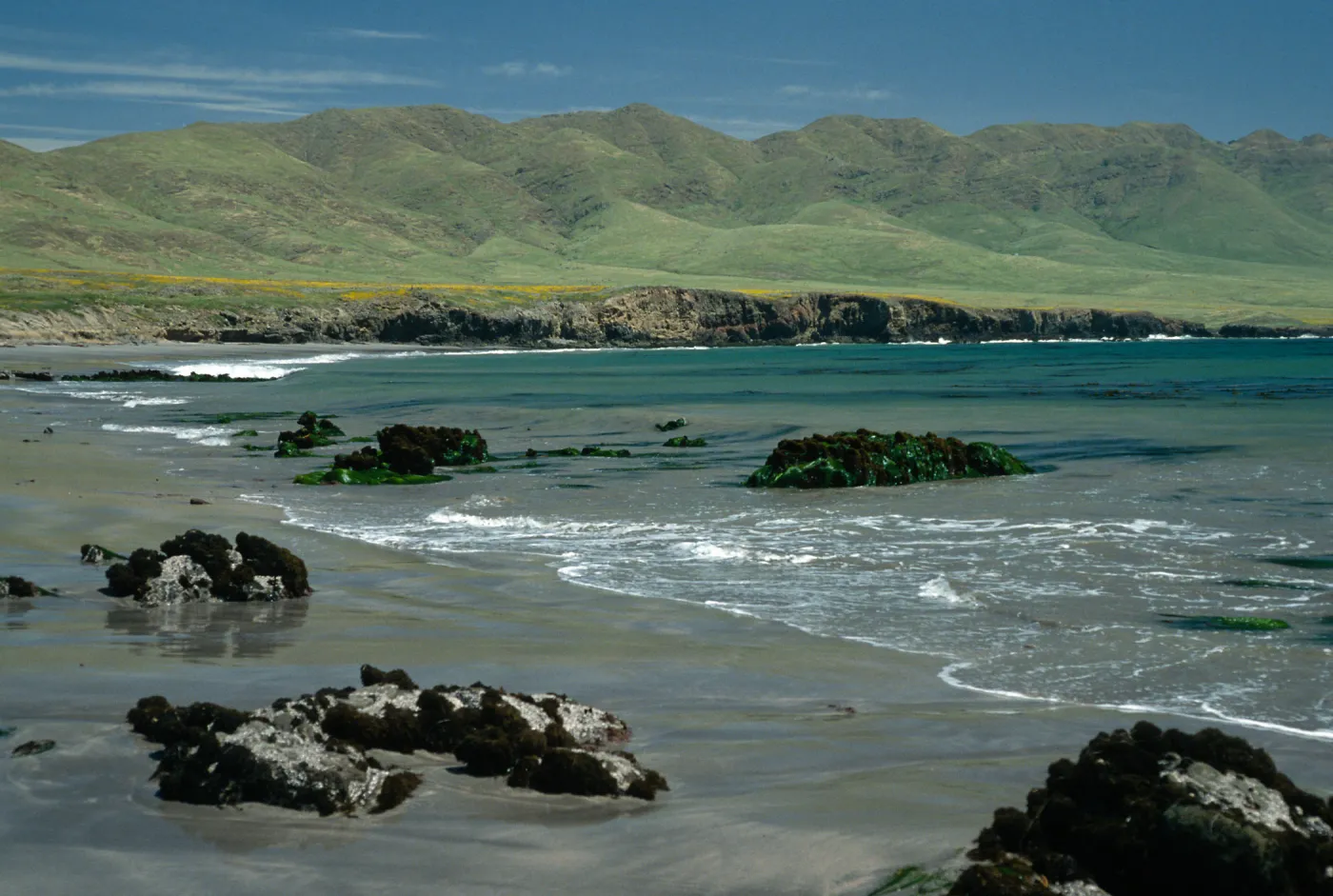 Lowtide, Forney’s Cove, Santa Cruz Island