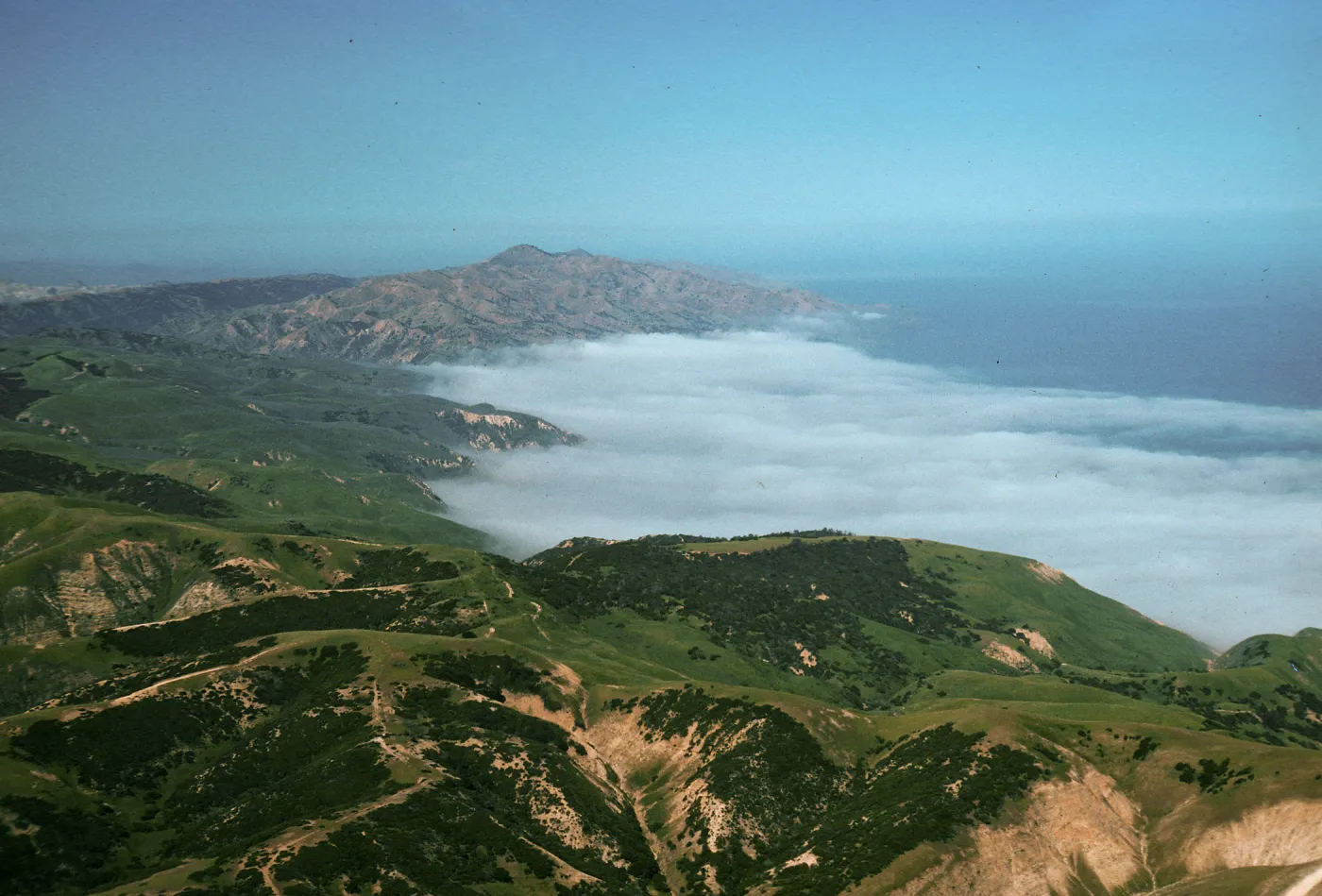 Fog at China Harbor, Santa Cruz Island