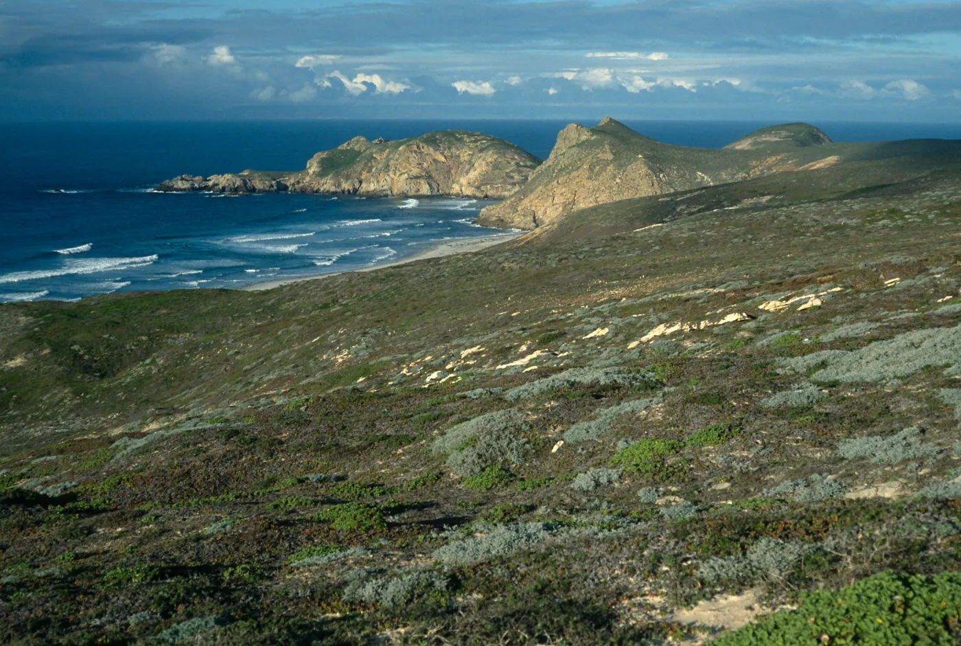 View of Harris Point, San Miguel Island