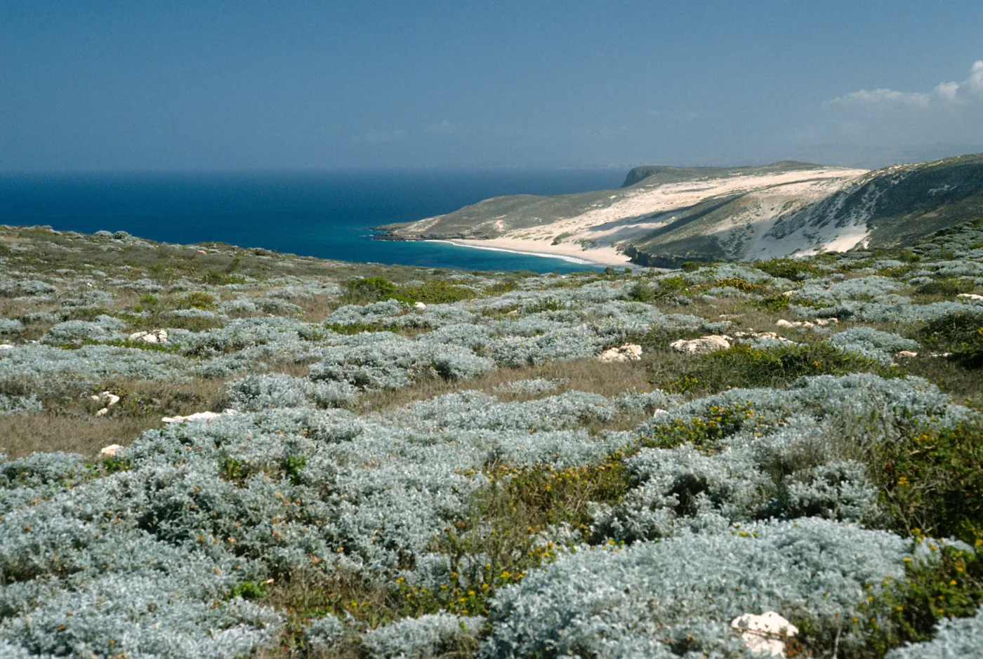View of Cuyler Harbor, San Miguel Island
