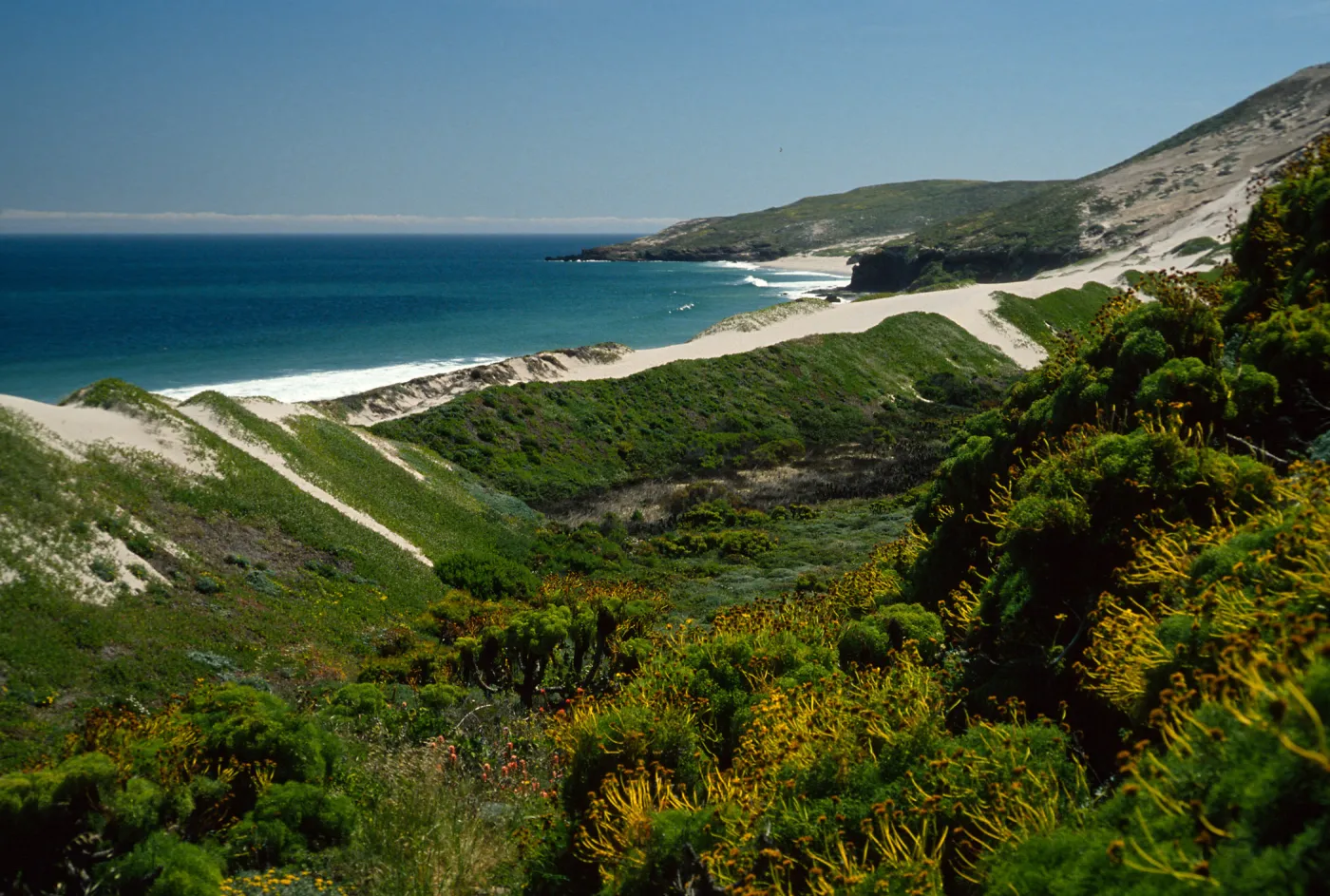 Cuyler Harbor, Mouth of Cañada del Mar, San Miguel Island