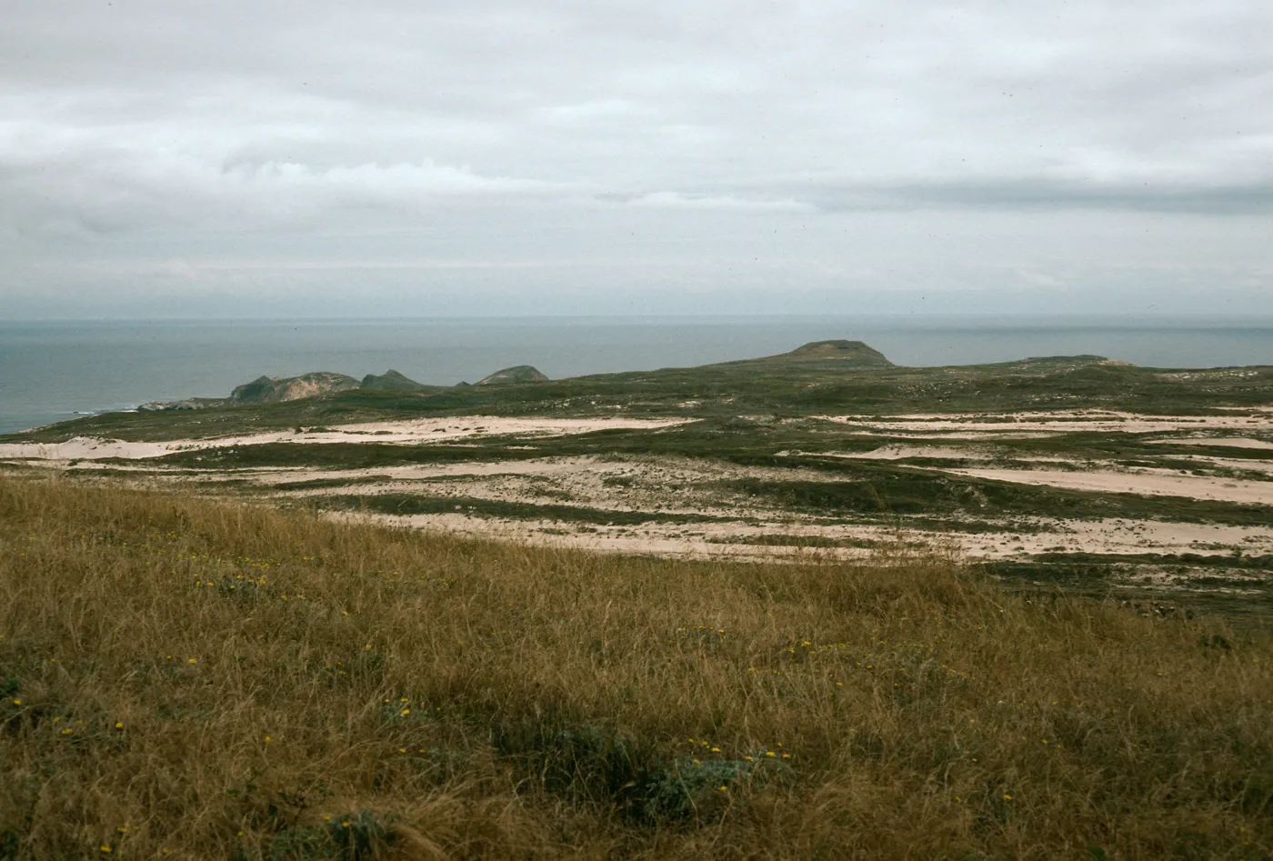 West end, San Miguel Island