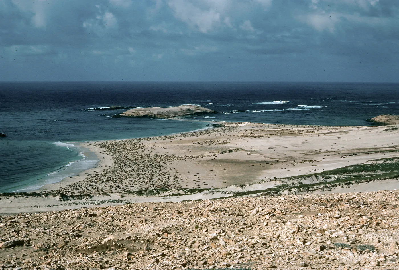 Point Bennett, San Miguel Island