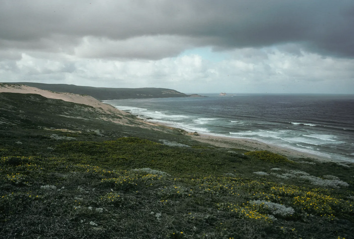 Looking West, Harris Point Peninsula, San Miguel Island
