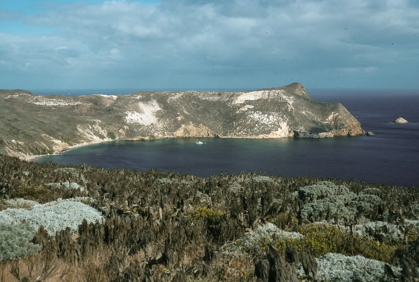 Cuyler Harbor, San Miguel Island