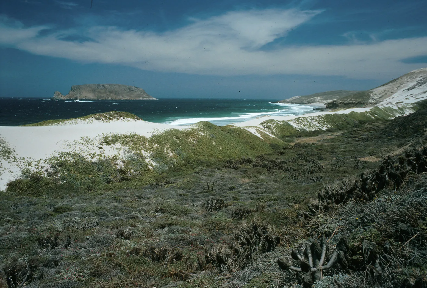 Dunes east of Cañada del Mar, Cuyler Harbor, San Miguel Island