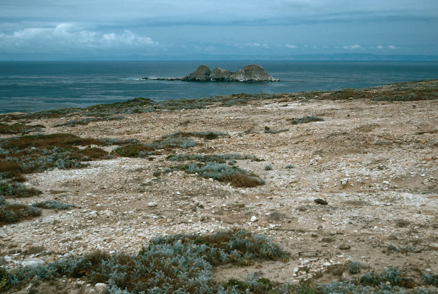 Castle Rock, Northwest side, San Miguel Island