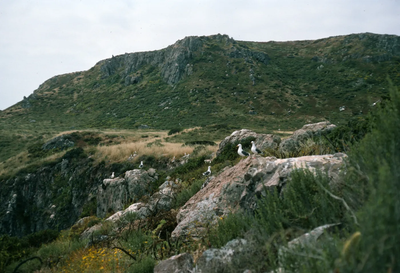 Todos Santos Islands, Northeast side of South Island