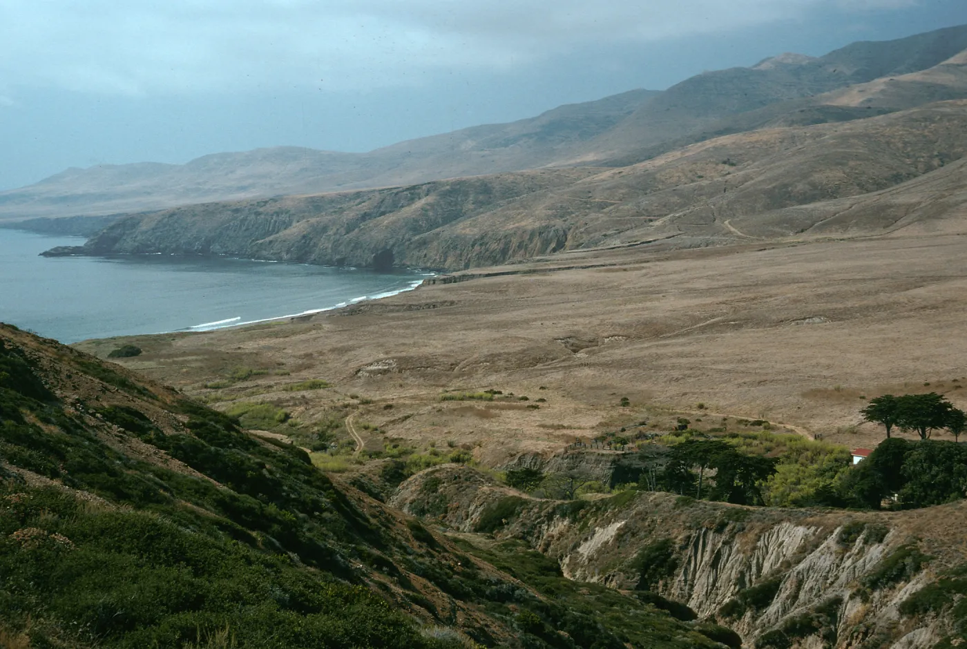 Santa Cruz Island, view of Black Point from ridge, above Christy Ranch