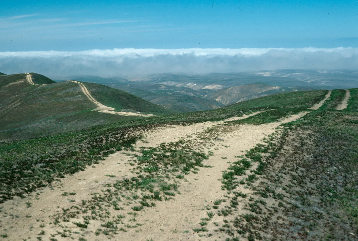 Burma Road at Whetstone Canyon, Santa Rosa Island