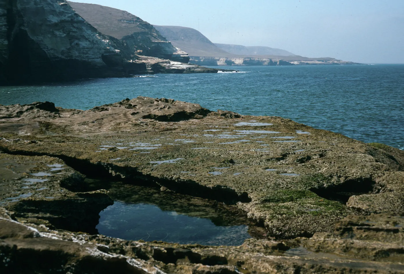Santa Rosa Island, tidepools, Cow Canyon mouth