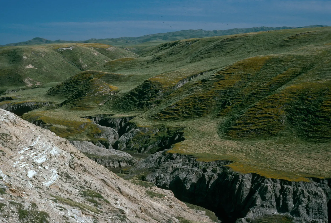 Santa Rosa Island, Dry Canyon