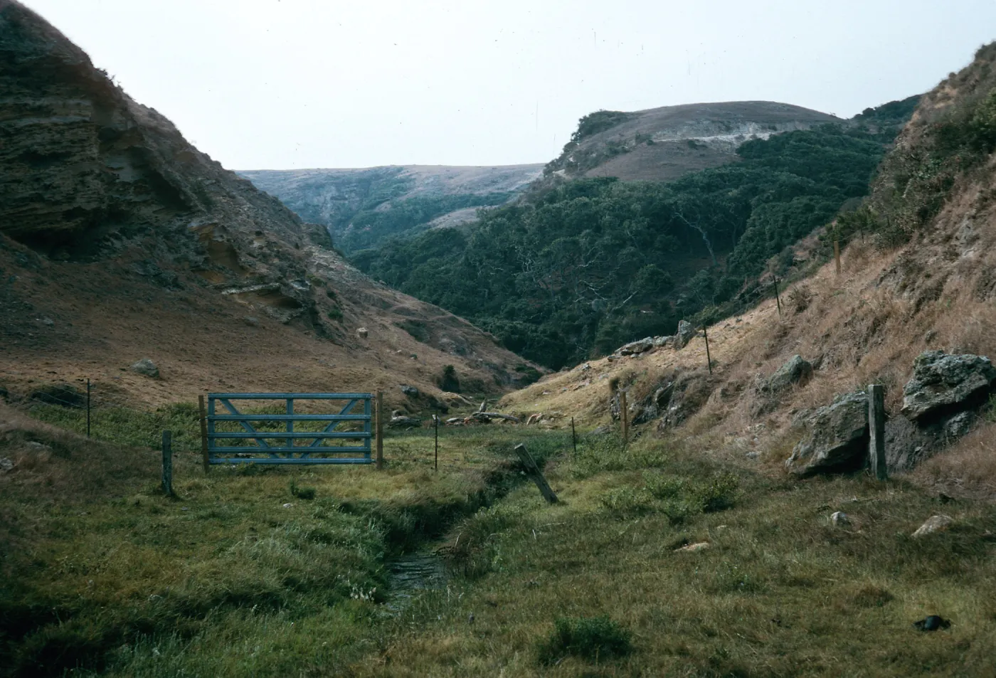 Santa Rosa Island, NPS fence, Lobo Canyon