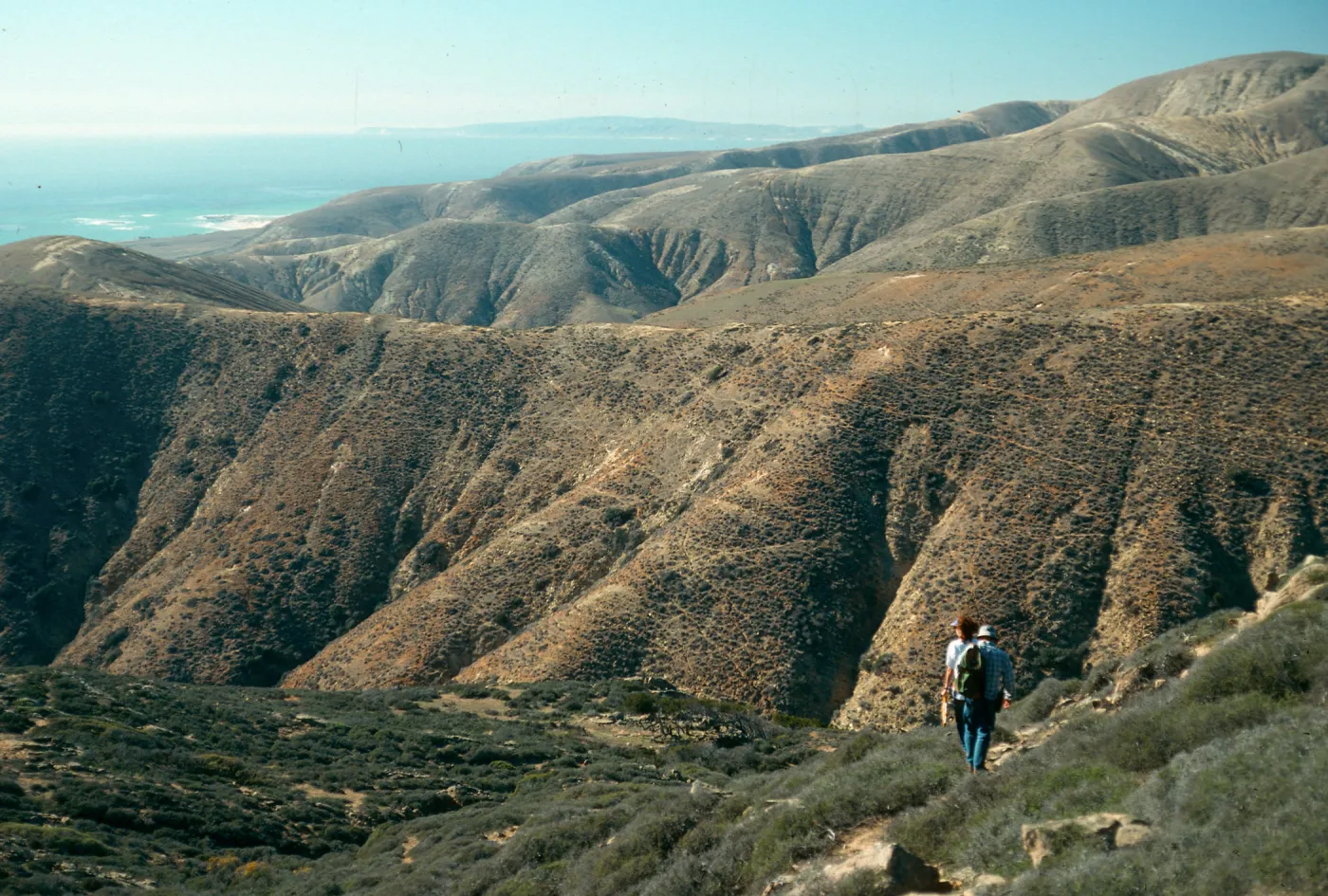 Santa Rosa Island, canyons West of South Point Peninsula