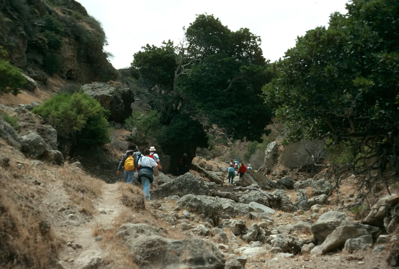 Santa Rosa Island, Cherry Canyon