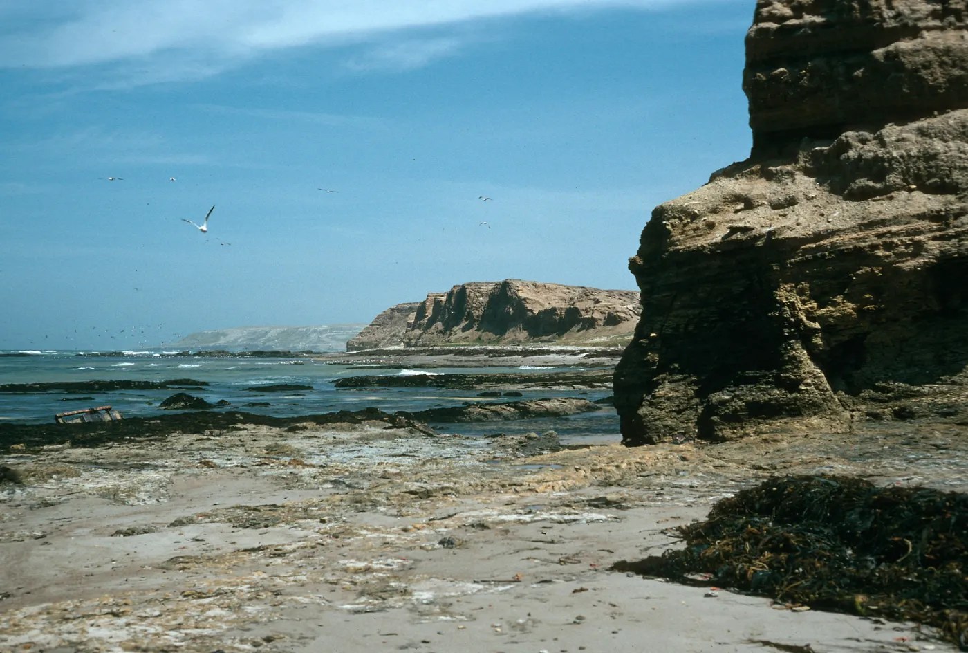 Santa Rosa Island, coastline, West of Tecolote Canyon