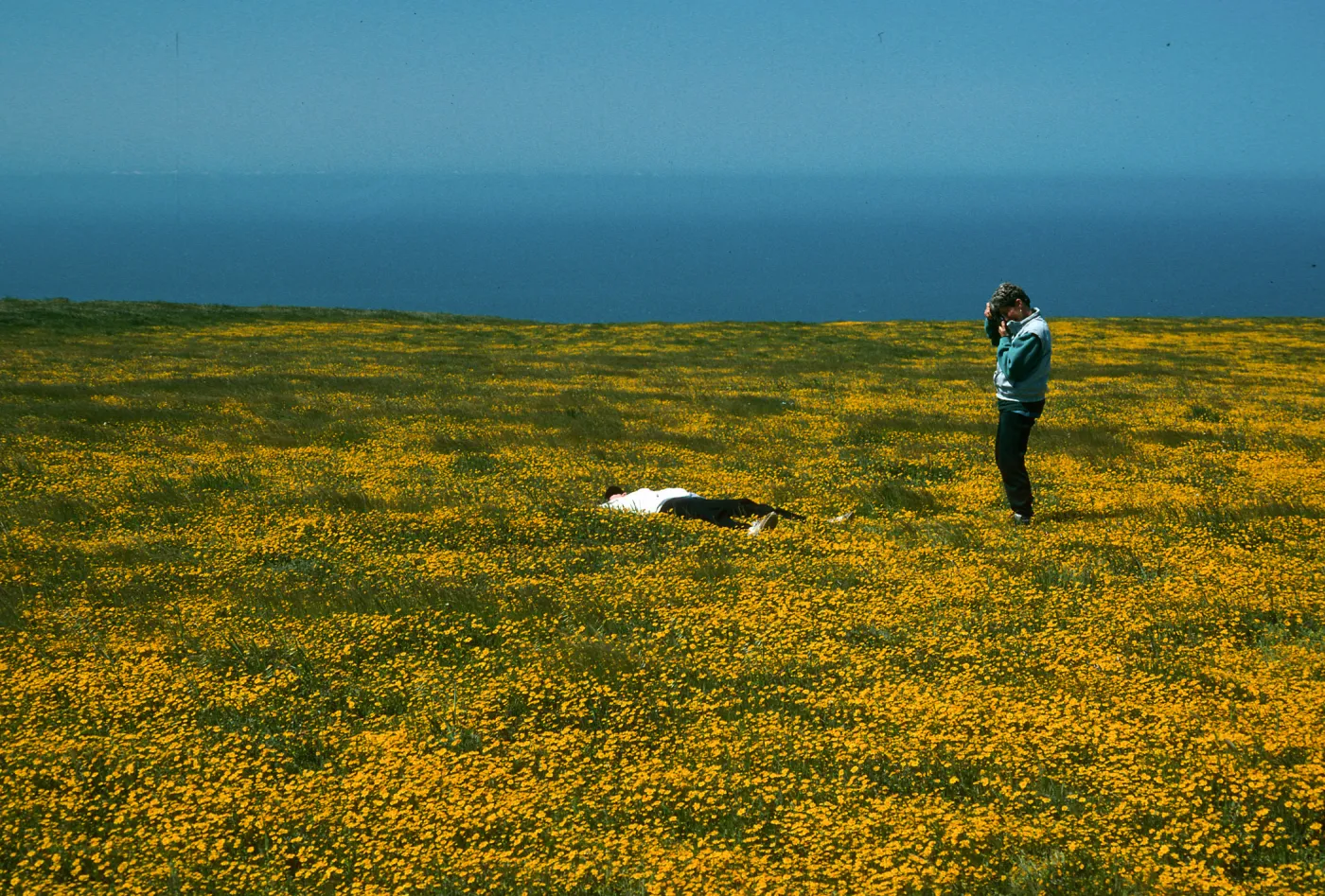 Santa Rosa Island, Lasthenia, Santa Barbara Botanic Garden trip participants