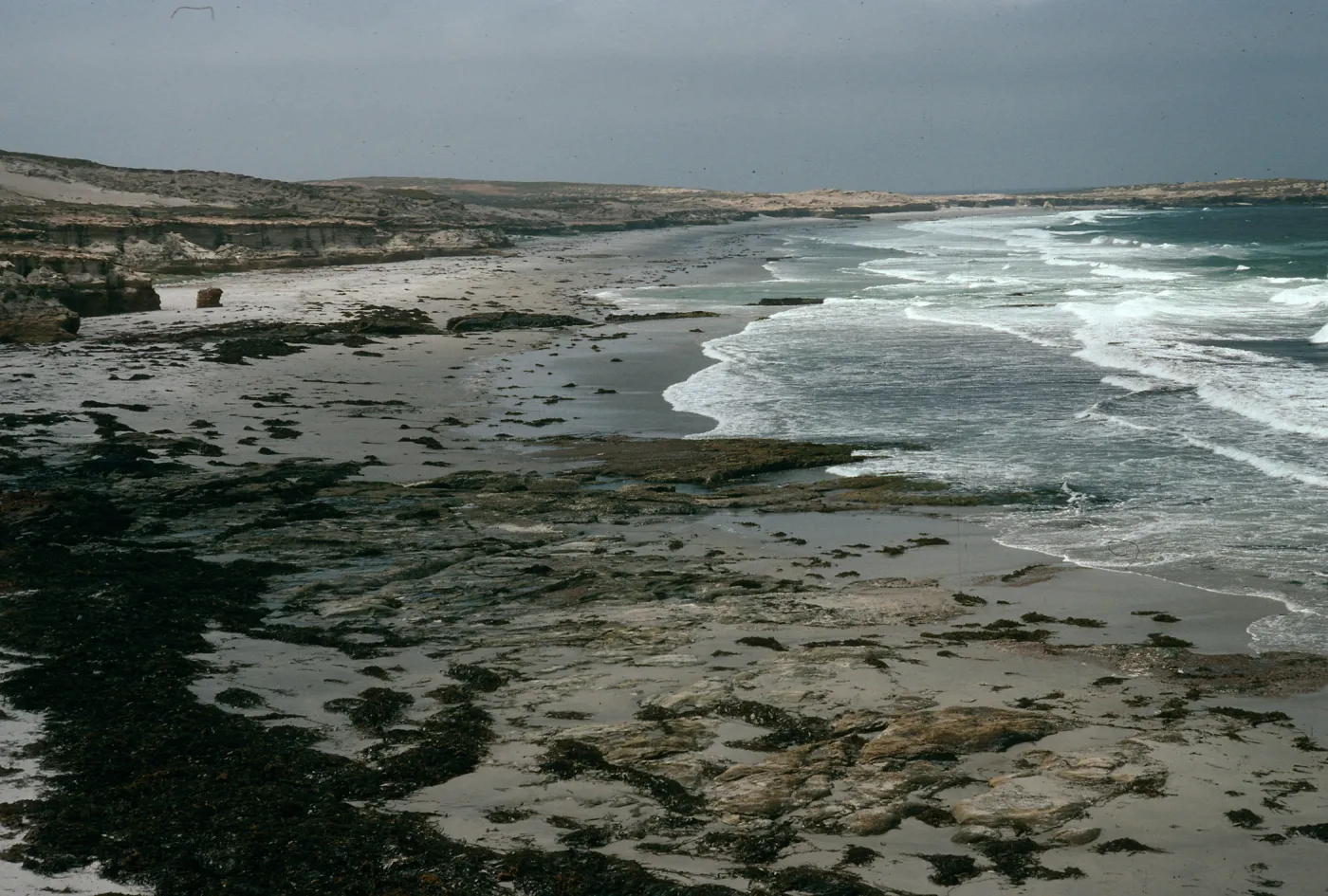 Santa Rosa Island, beach, North of Sandy Point