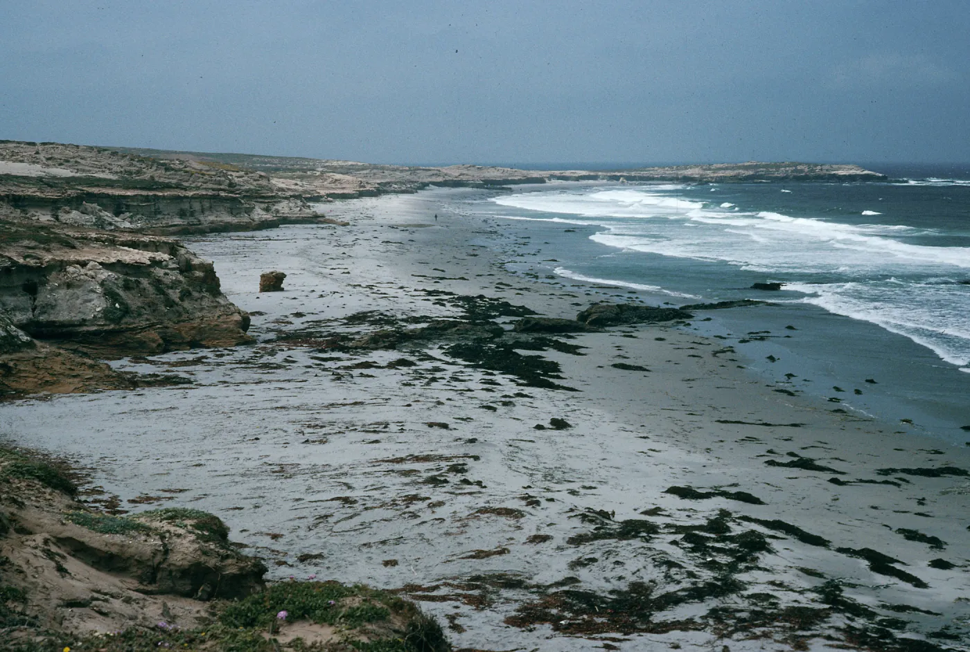 Santa Rosa Island, beach, North of Sandy Point