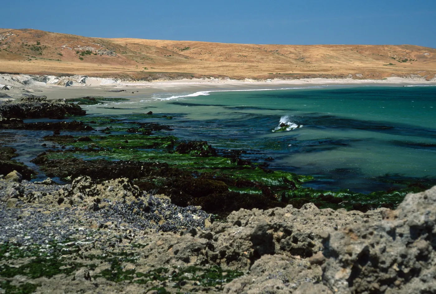 Santa Rosa Island, low tide near East Point