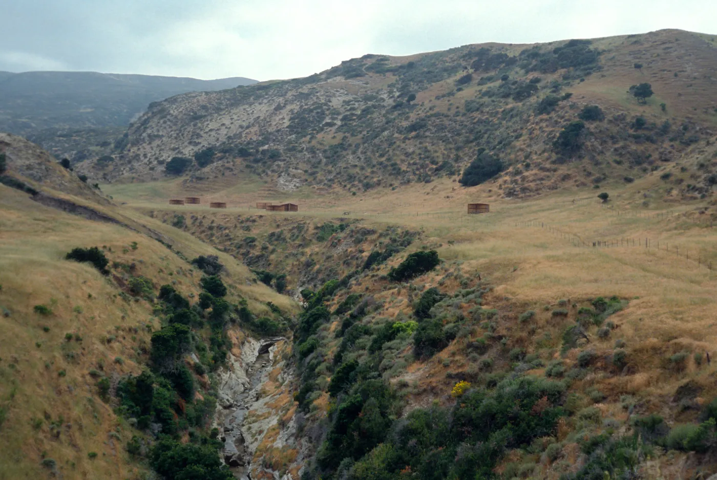 Santa Rosa Island, campground, Water Canyon