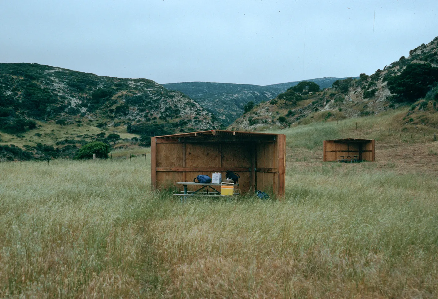 Santa Rosa Island, windshelters, campground Water Canyon
