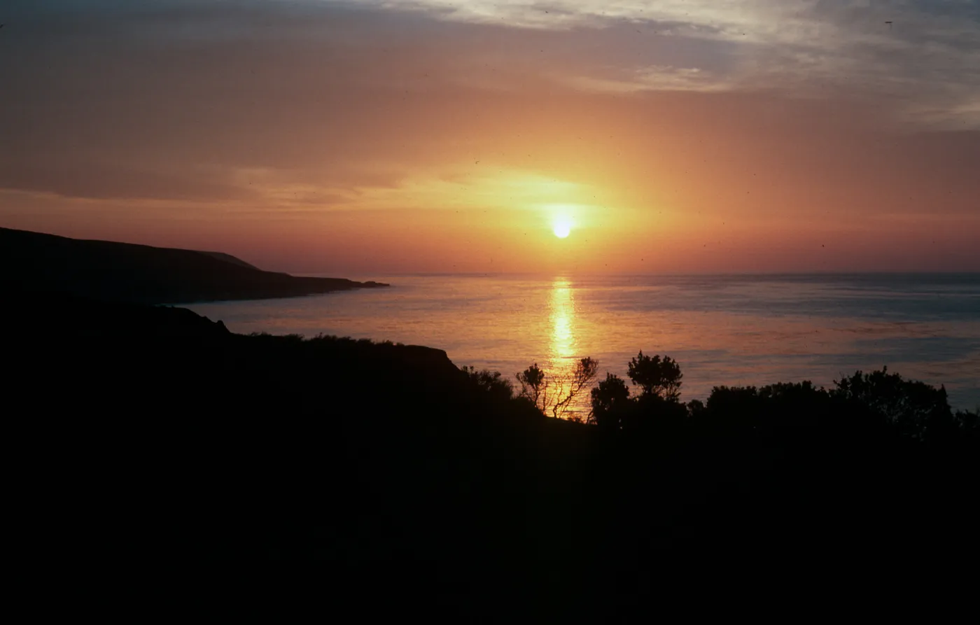 Santa Rosa Island, sunrise, Johnsons Lee