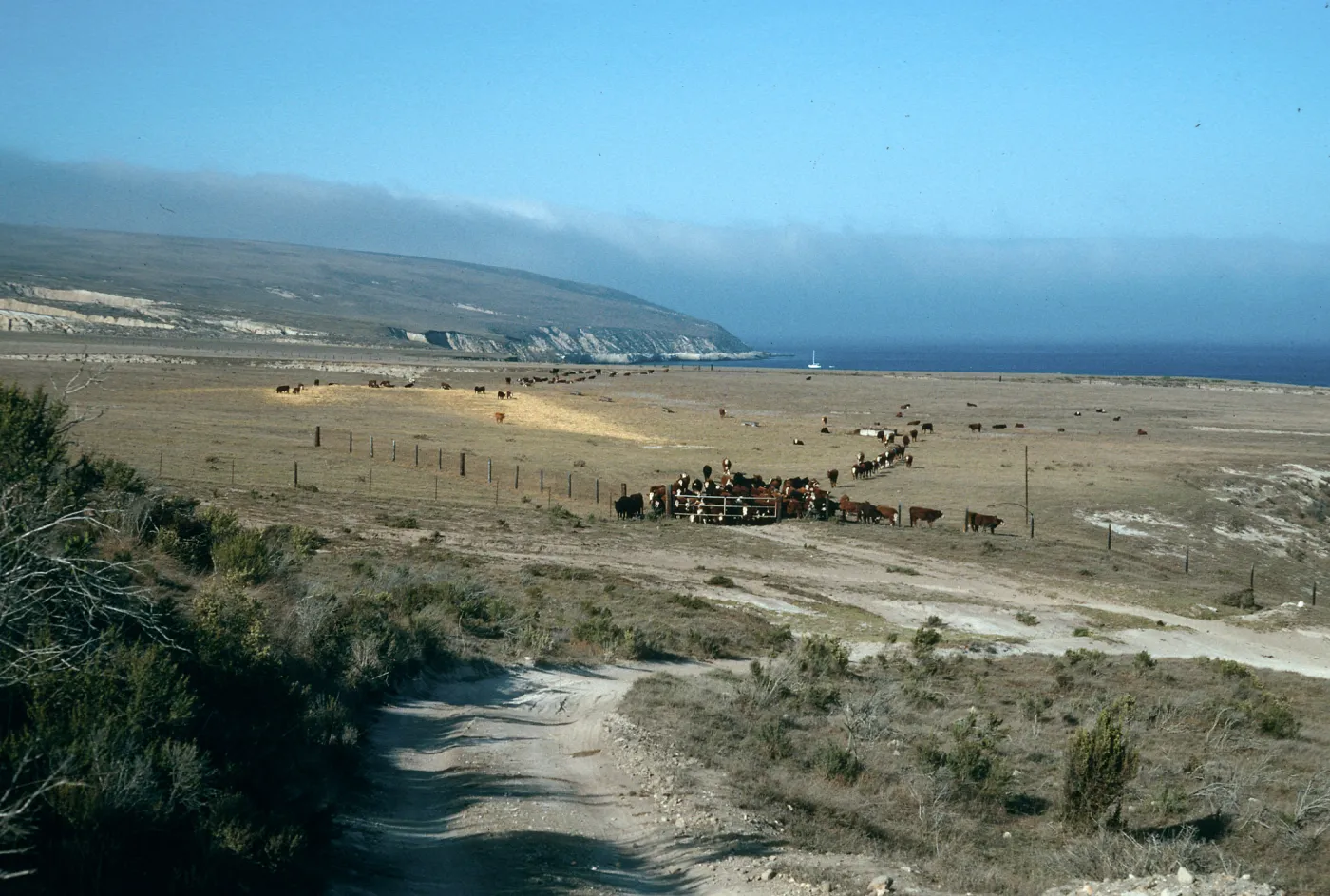 Santa Rosa Island, just West of ranch, Beechers Bay