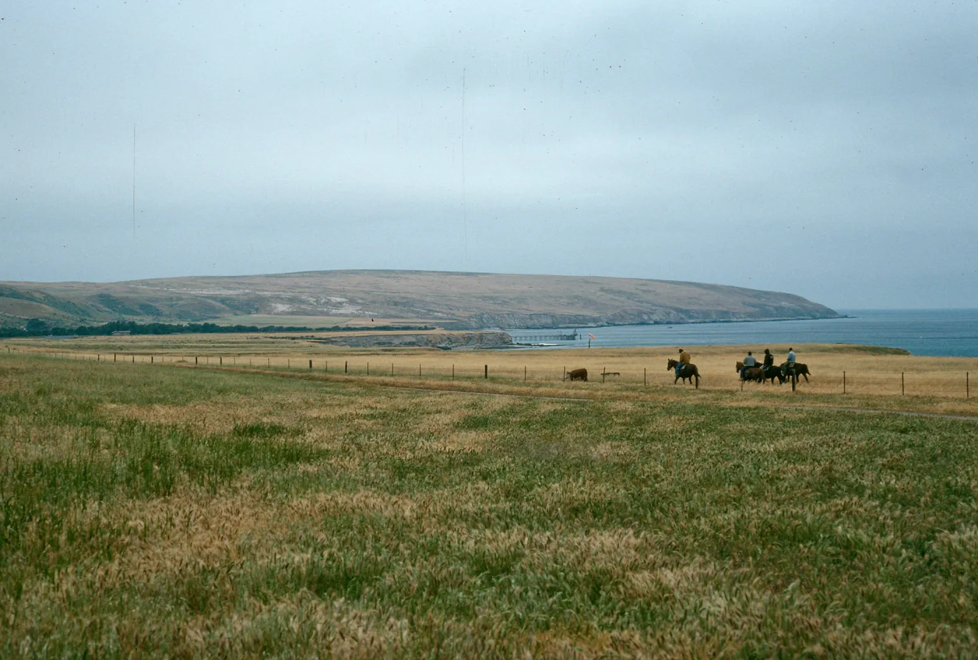 Santa Rosa Island, vaqueros, Beechers Bay airfield