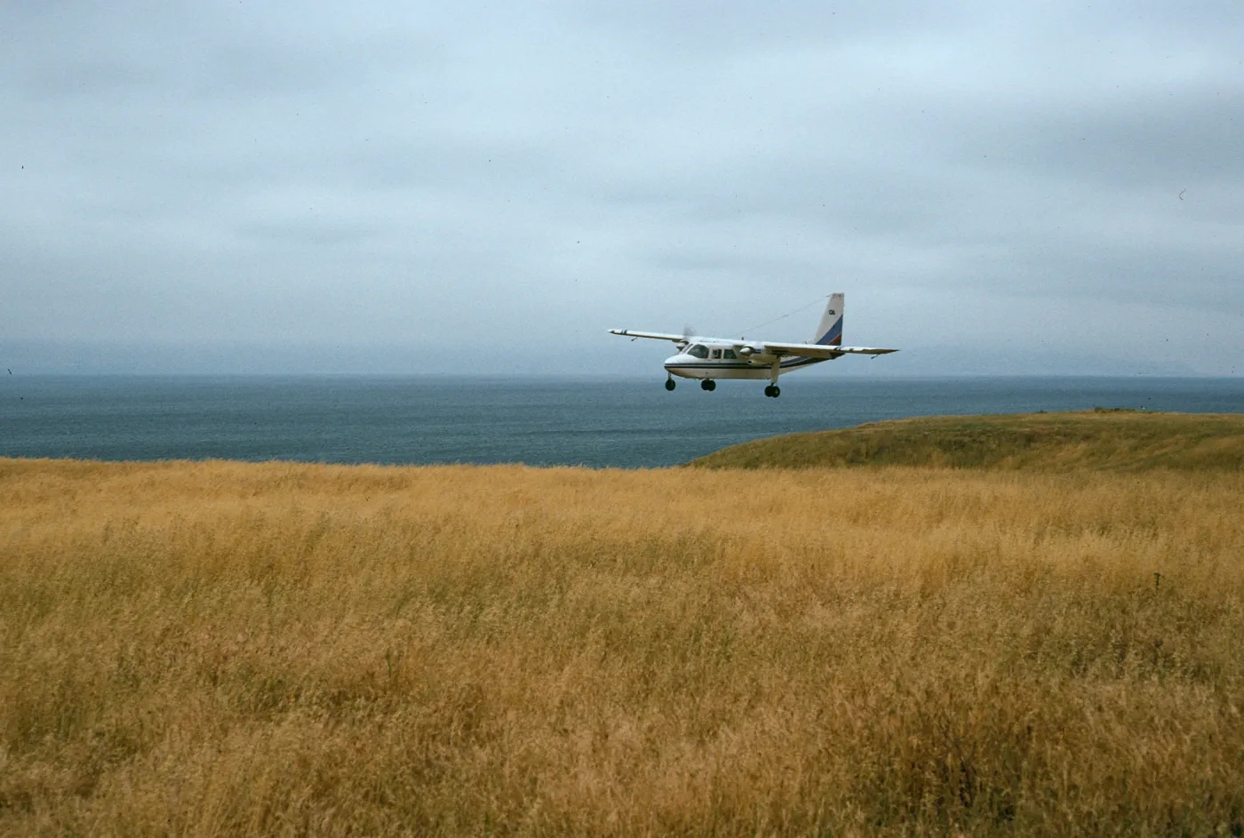 Santa Rosa Island, Islander, Beechers Bay