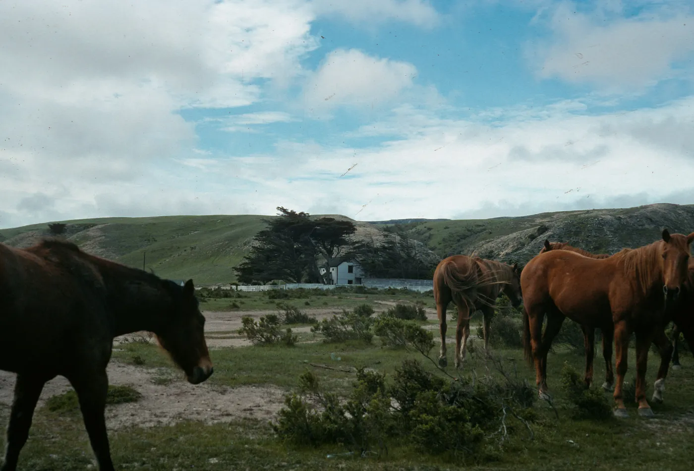 Santa Rosa Island, Cliff house, Vail Ranch