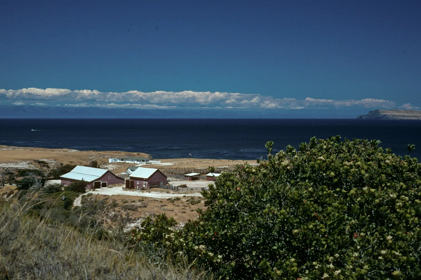 Santa Rosa Island, Vail Ranch