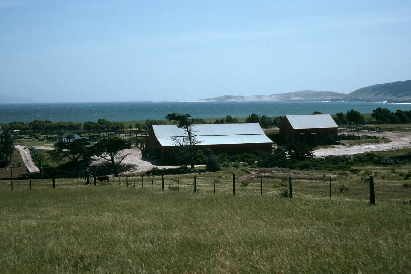 Santa Rosa Island, Vail Ranch