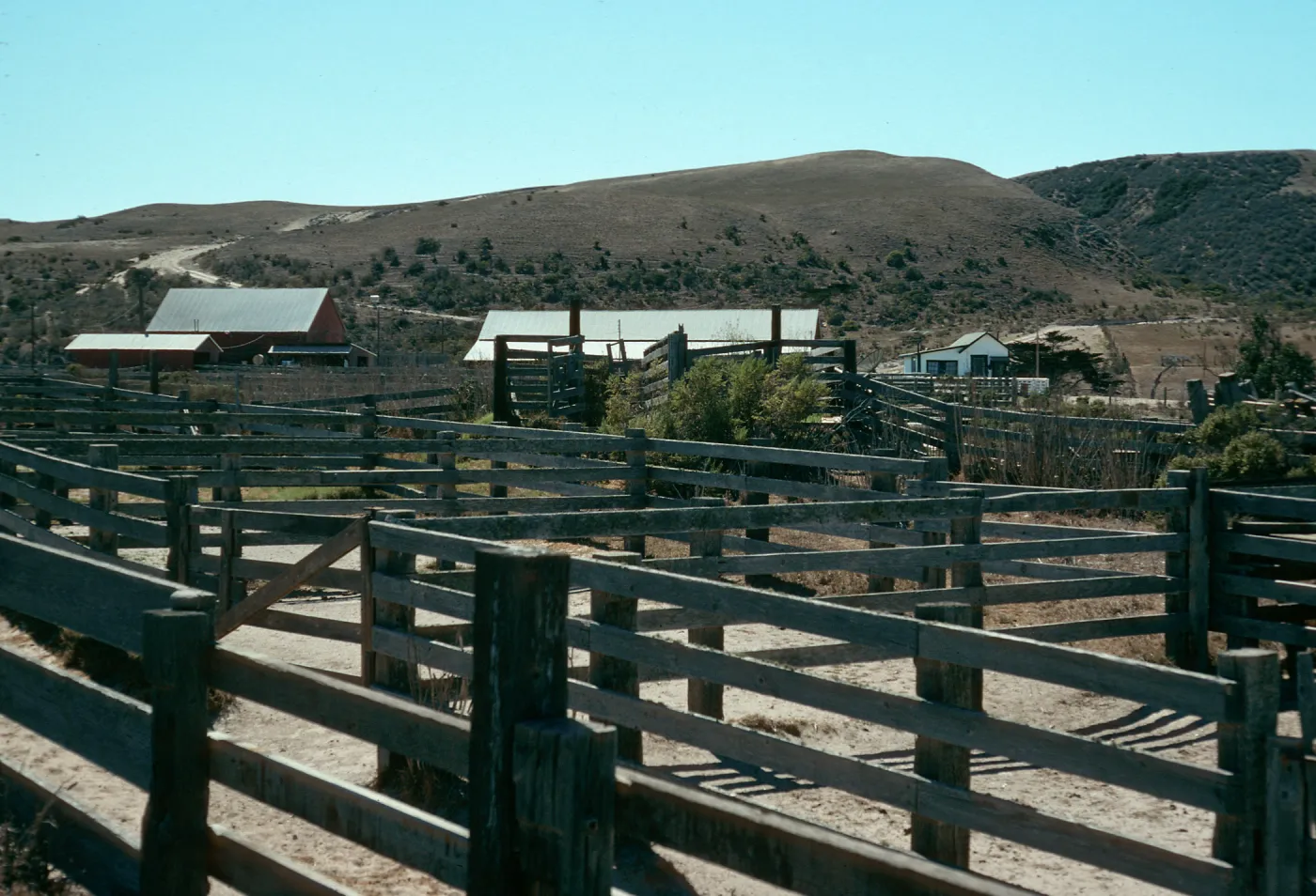 Santa Rosa Island, Vail Ranch