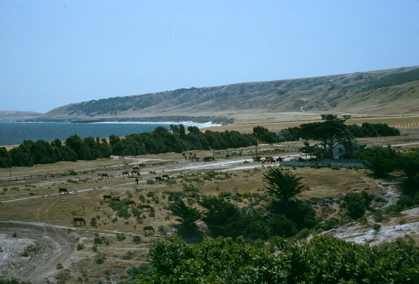 Santa Rosa Island, Vail Ranch, Beechers Bay