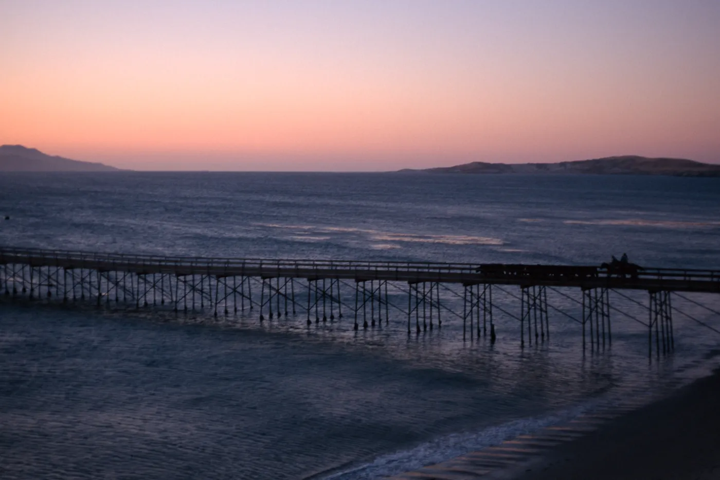 Santa Rosa Island, cattle drive at dawn, Vail Ranch
