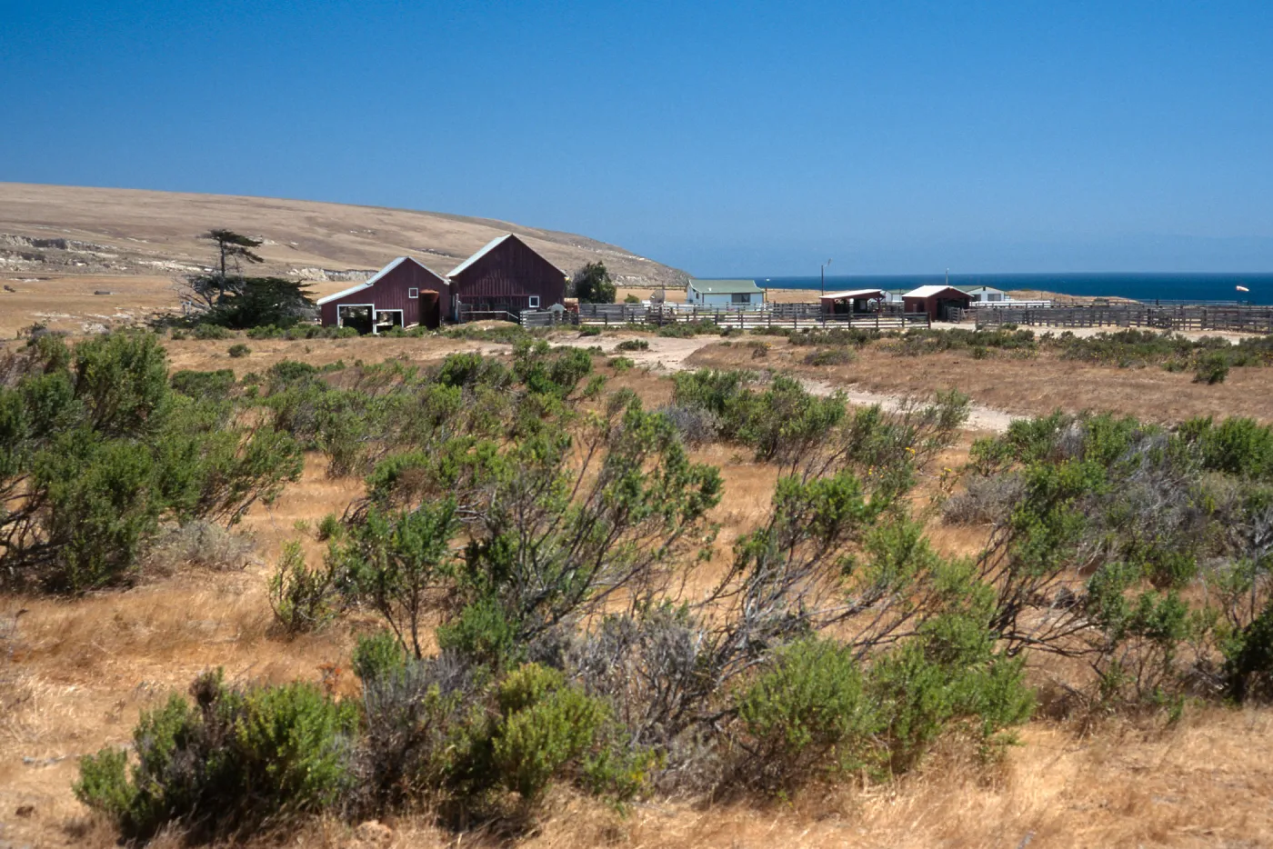 Santa Rosa Island, Vail Ranch