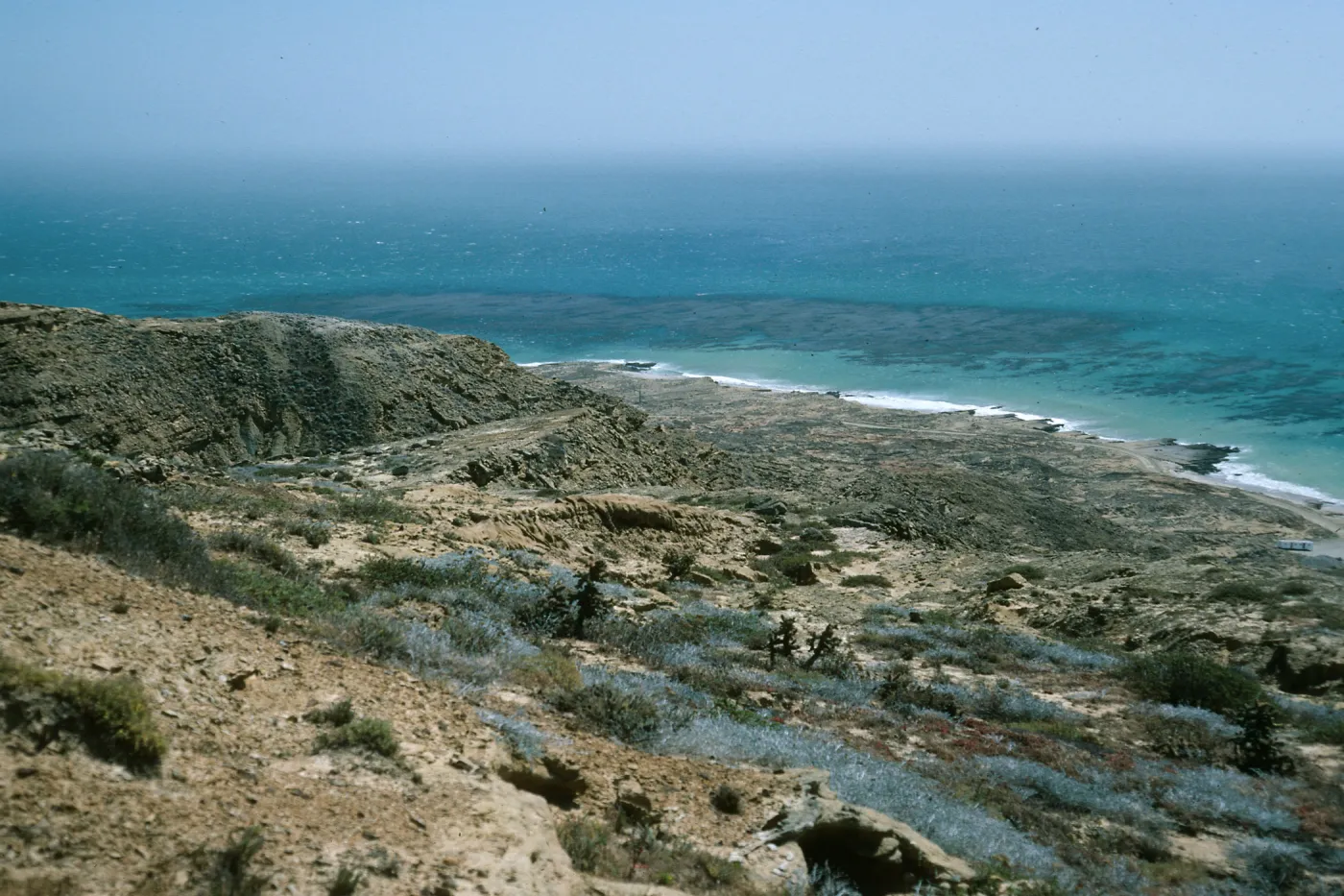 San Nicolas Island, overlooking Southeast part of island