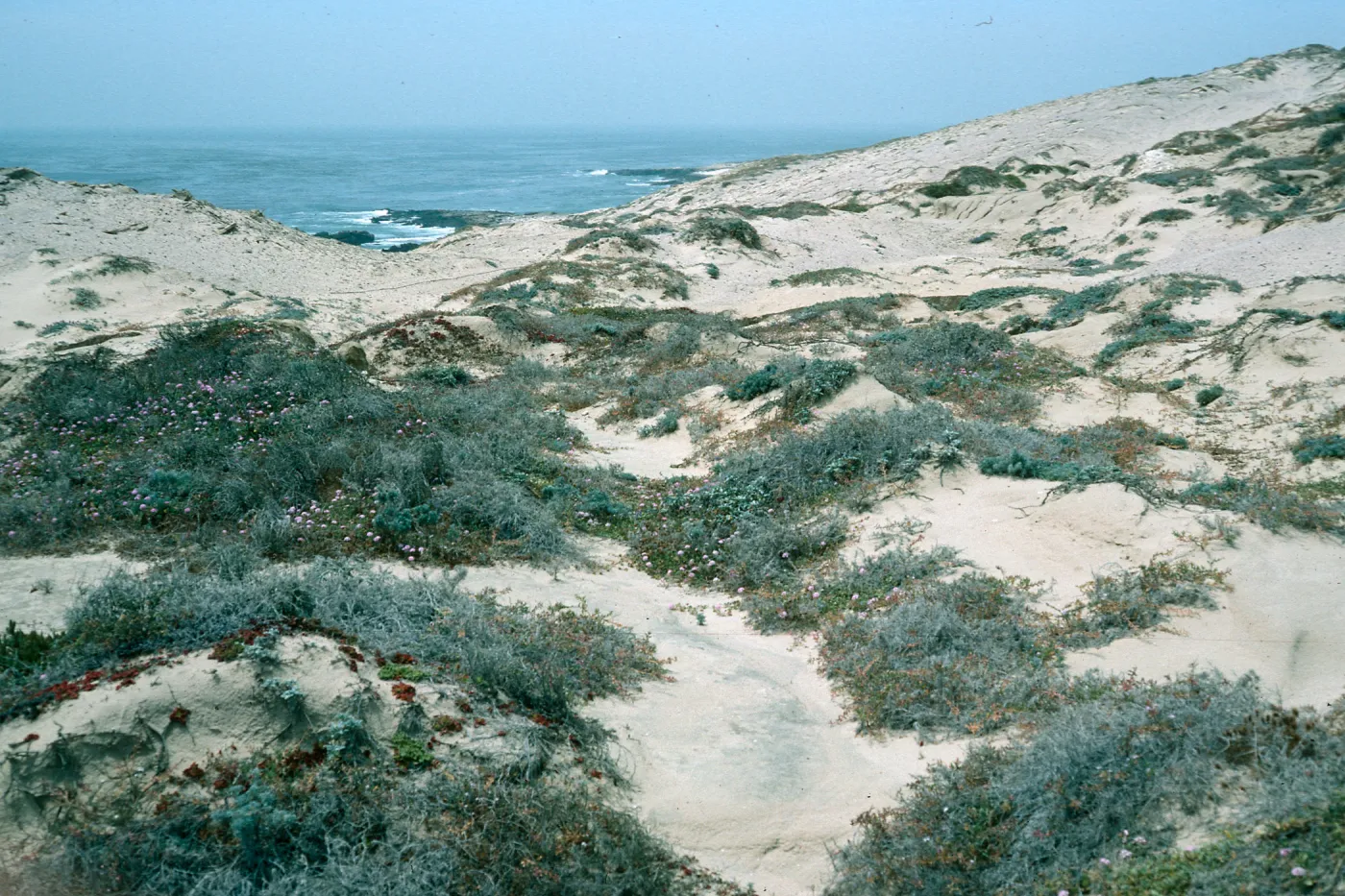 San Nicolas Island, South end, East of Seal Beach
